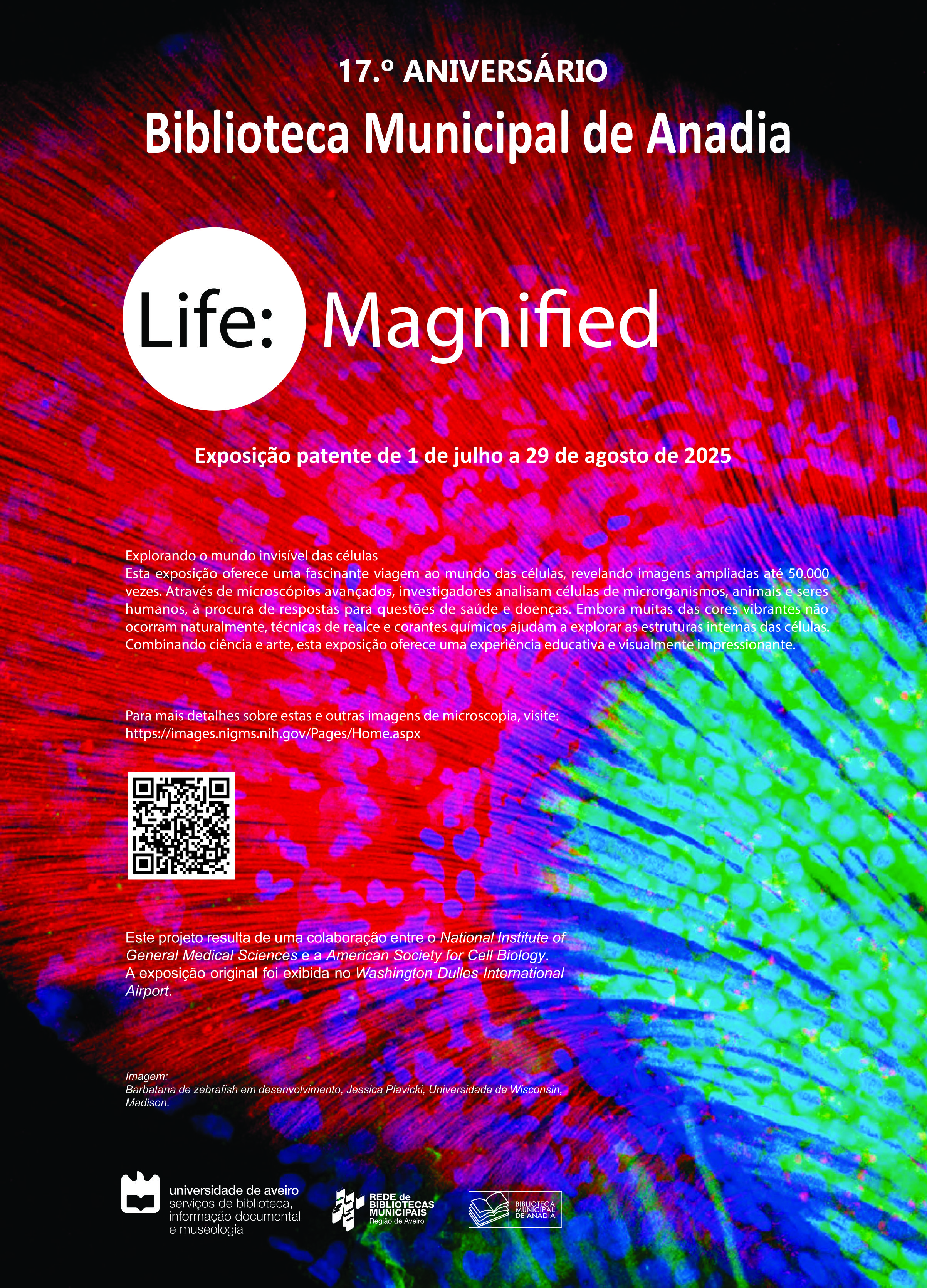 Exposição Life: Magnified | 17.º Aniversário da BMA